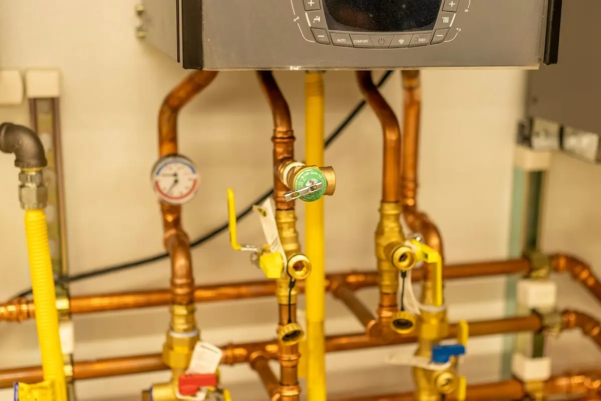 Licensed technician providing Emergency Plumbing for a homeowner in Salmon